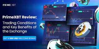 Unlocking the Potential of Trading with PrimeXBT