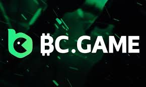 Explore the Excitement of BC Game Crypto Casino